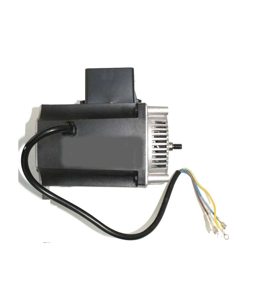 Motor 1500W para cepilladora y regruesadora 254 mm