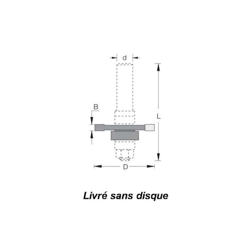 Arbre porte-disques pour rainure languette avec roulement et bagues Q6mm