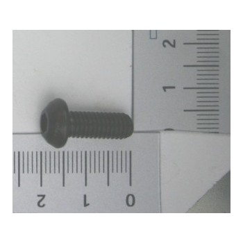 Iron locking screw for planer and thicknesser Scheppach HMS850, HMS2000 and HT850